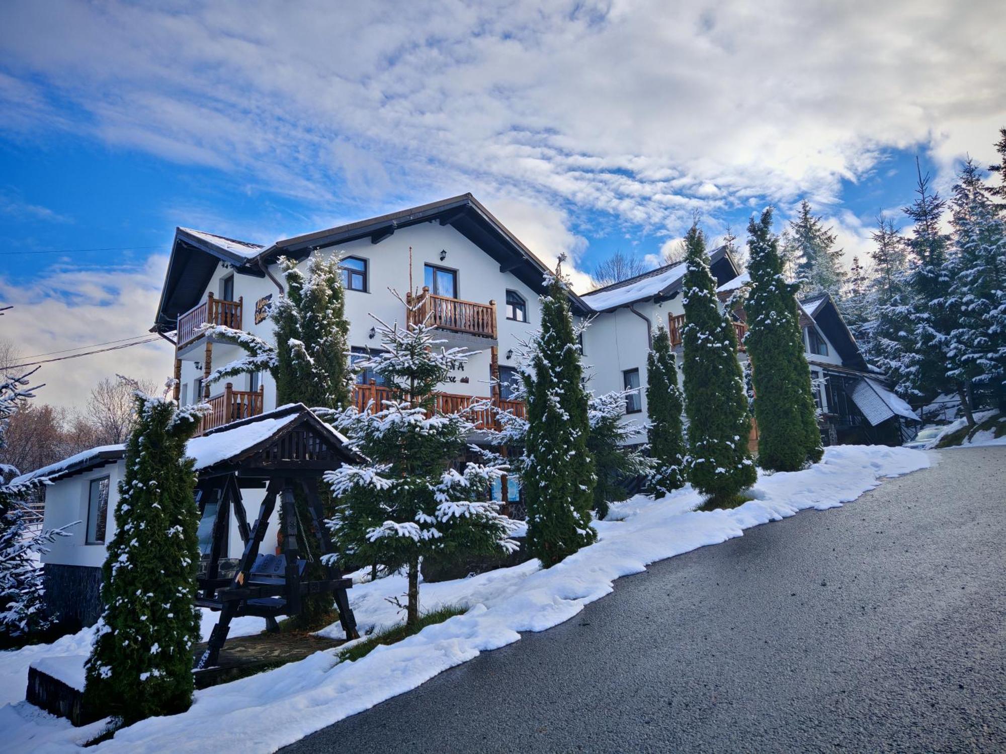 Alpina Panoramic Hotel Moisei Ngoại thất bức ảnh